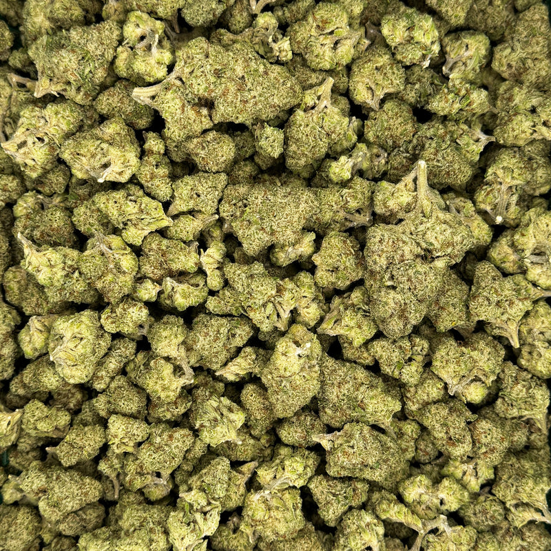 White Widow - THCA Flower - Hybrid